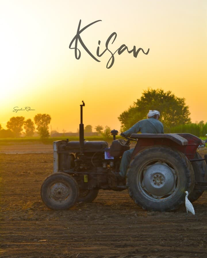 Kisan