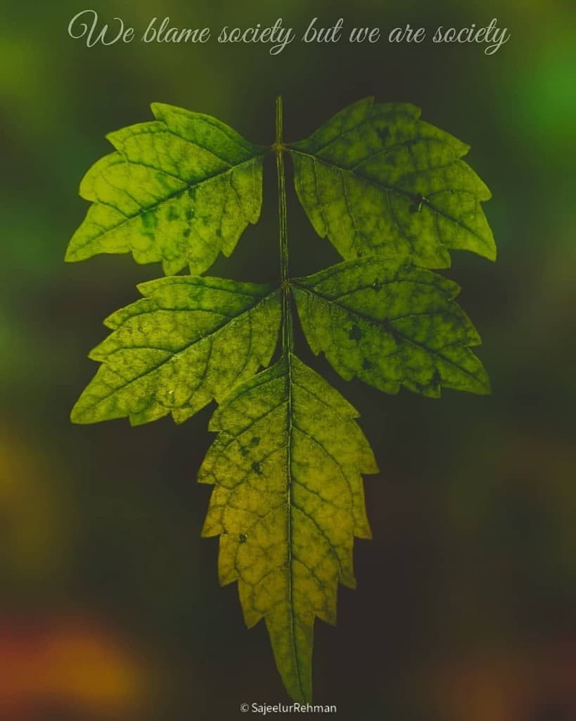 Green Leaf