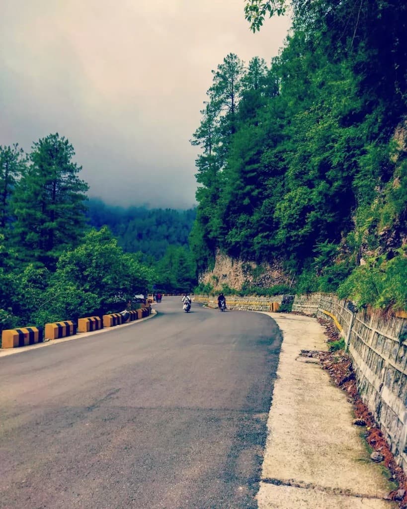 Misty Road
