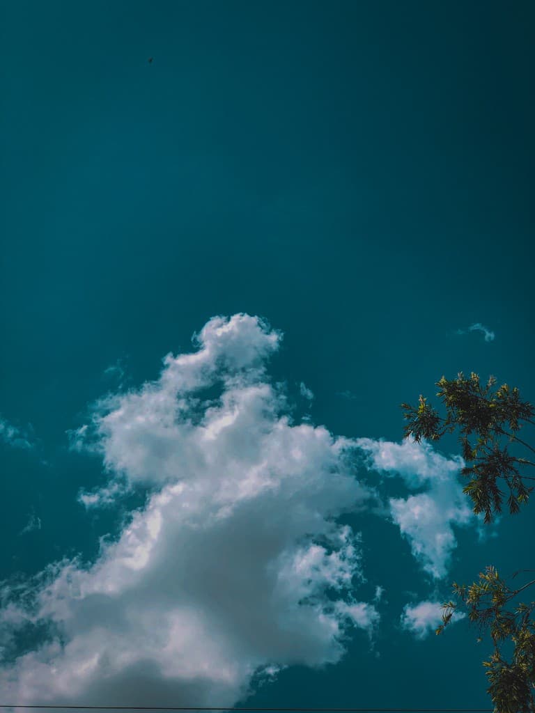 Teal Horizon
